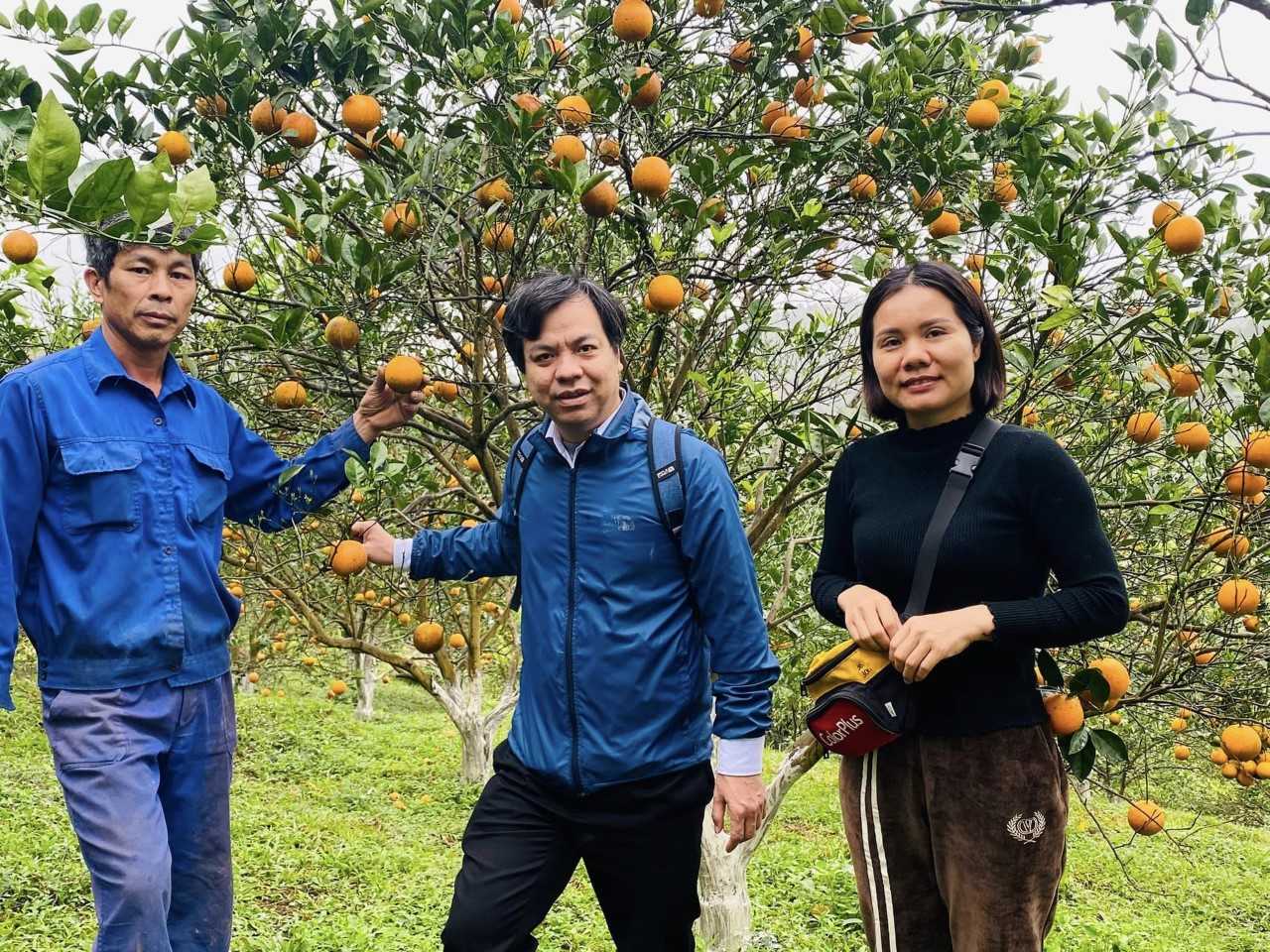 Gặt những “mùa vàng” trên đất Cao Phong