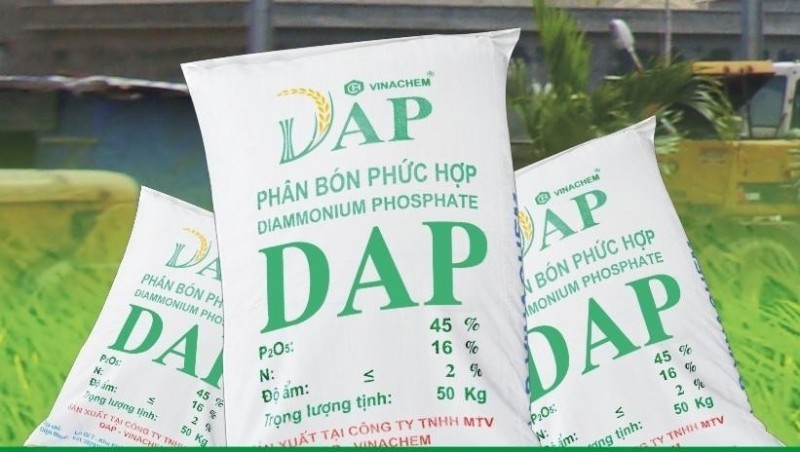 Hiệu quả vượt trội cho cây trồng từ phân bón DAP Đình Vũ