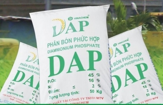 Hiệu quả vượt trội cho cây trồng từ phân bón DAP Đình Vũ