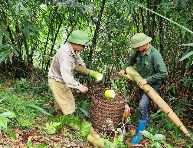 Yên Bái: Phấn đấu truy xuất nguồn gốc 10 nhóm sản phẩm chủ lực vào năm 2025