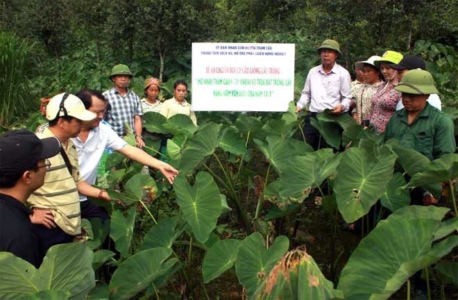 Yên Bái: Phấn đấu truy xuất nguồn gốc 10 nhóm sản phẩm chủ lực vào năm 2025