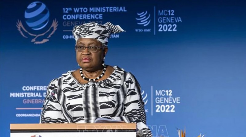 Tổng Giám đốc WTO không lạc quan về tình hình thương mại toàn cầu trong năm 2024