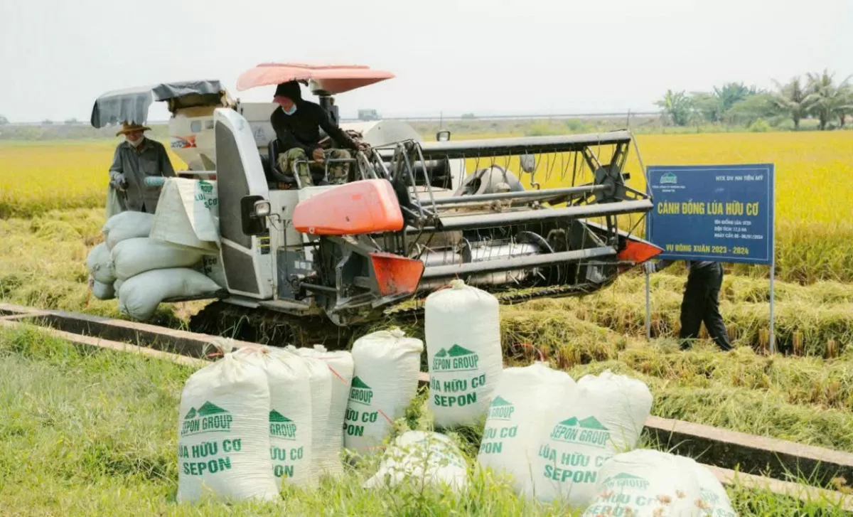 Quảng Trị: Hành trình xây dựng thương hiệu ‘‘Gạo hữu cơ Sepon’’