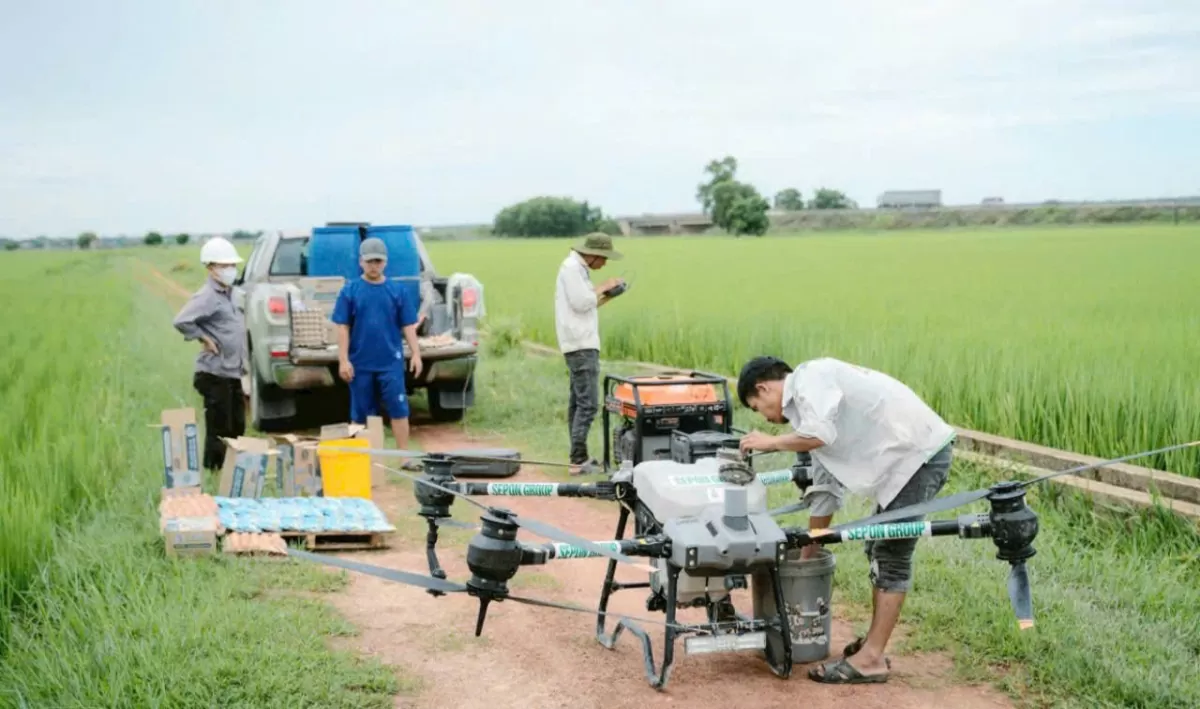 Quảng Trị: Hành trình xây dựng thương hiệu ‘‘Gạo hữu cơ Sepon’’