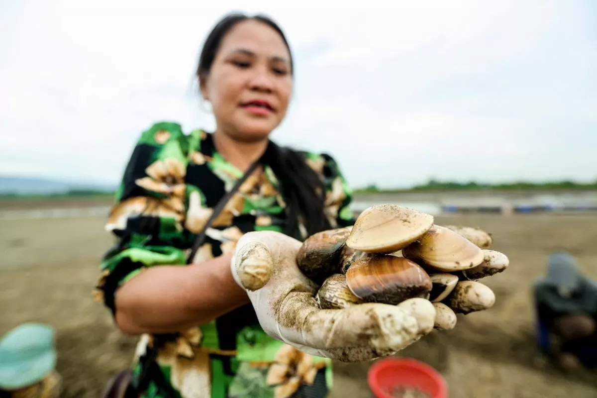 nông dân nguyễn thị biên