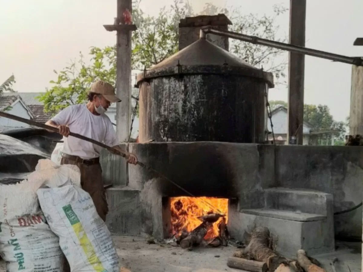 Còn nhiều “rào cản” cho tinh dầu tràm Huế khi ra thị trường