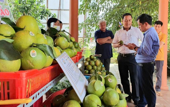 Thừa Thiên Huế: Xây dựng nhãn hiệu cộng đồng cho sản phẩm đặc trưng