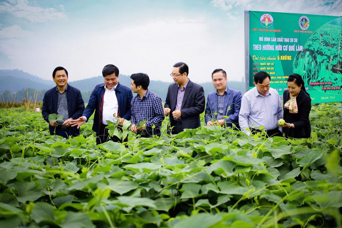 Tập đoàn Quế Lâm: Hướng tới môi trường xanh vì chất lượng cuộc sống người dân