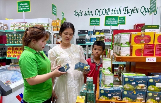 Nông sản “Made in Tuyên Quang” đi Vương quốc Anh