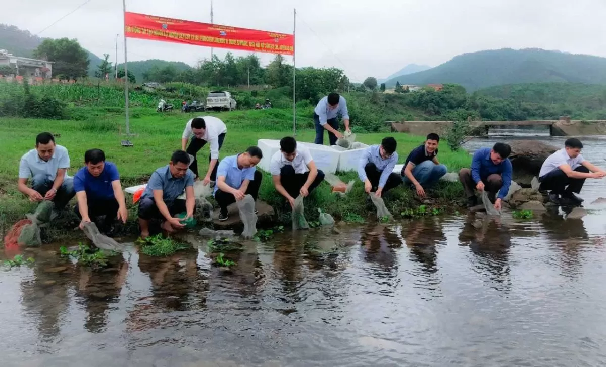 Hoạt động thả con giống Cà ra tại sông Ba Chẽ, để tái tạo nguồn lợi thủy sản quý.