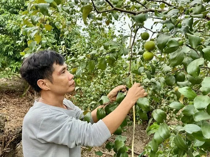 Anh Nguyễn Đình Hướng ở bản Ta Mo, xã Mường Bú (huyện Mường La, Sơn La)