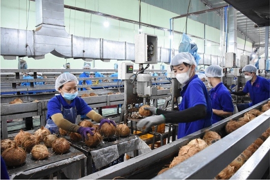 Ngành dừa Việt Nam: Vươn xa trên trường quốc tế