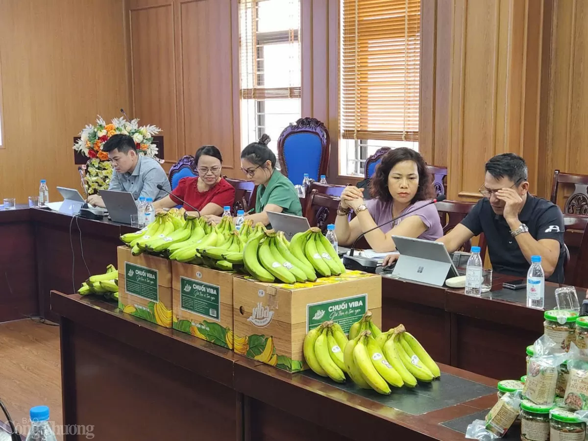 chuối viba HÒa Bình