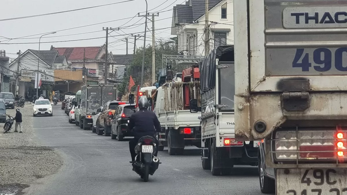 Du lịch Lâm Đồng tăng trưởng vượt bậc dịp Tết 2025