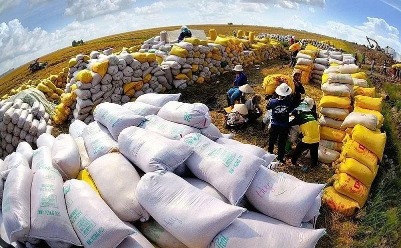 Tăng giá trị và xây dựng thương hiệu gạo Việt