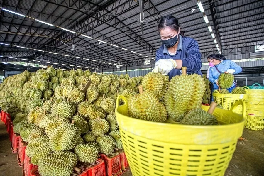 EU siết chặt quy định đối với thương mại nông sản tươi