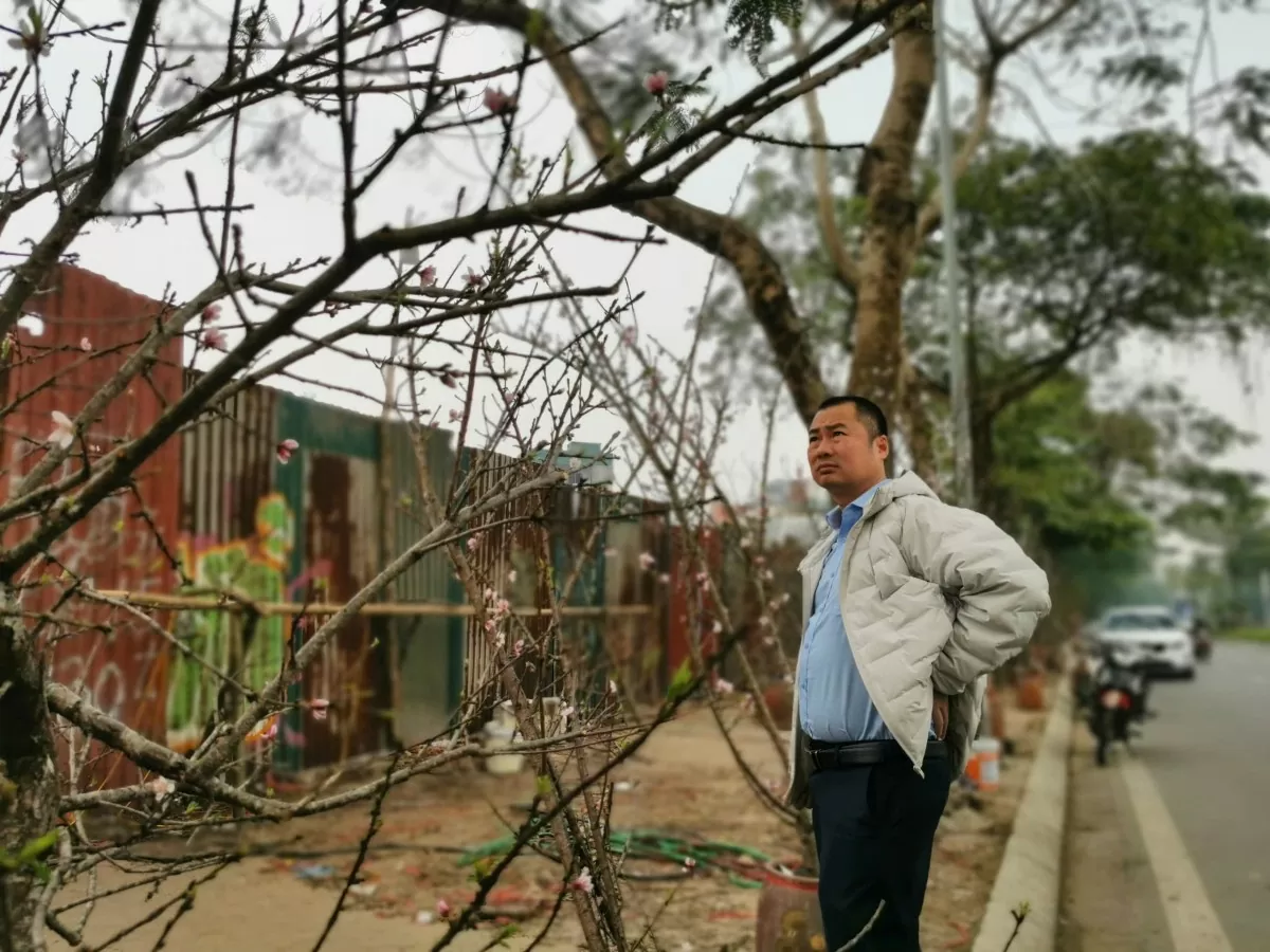 Thú chơi hoa lê của người Hà Nội sau tết Nguyên đán