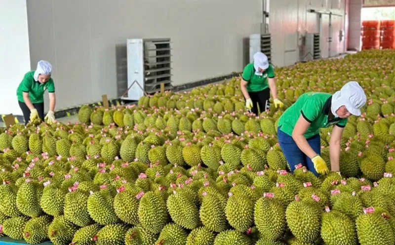 Thương hiệu nông sản Việt: Cần thích ứng với quy chuẩn mới