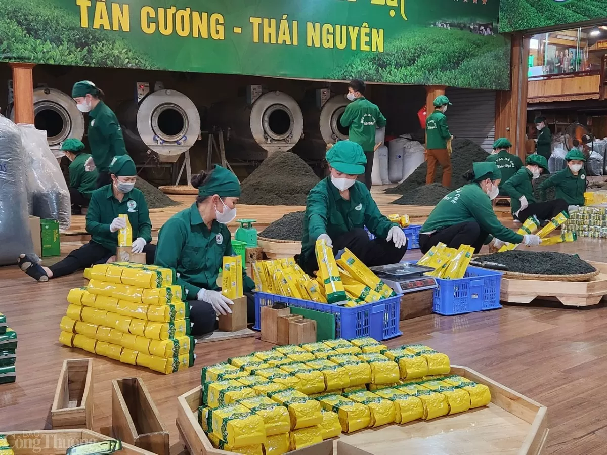 Chè Tân Cương Thái Nguyên - HTX Hảo Đạt